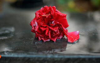 Long Term Survivors Day 7