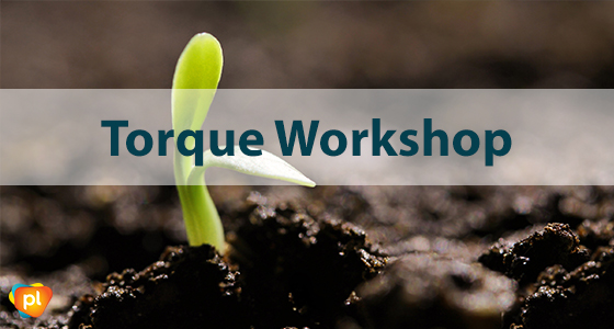 TORQUE Workshop 6 torque2